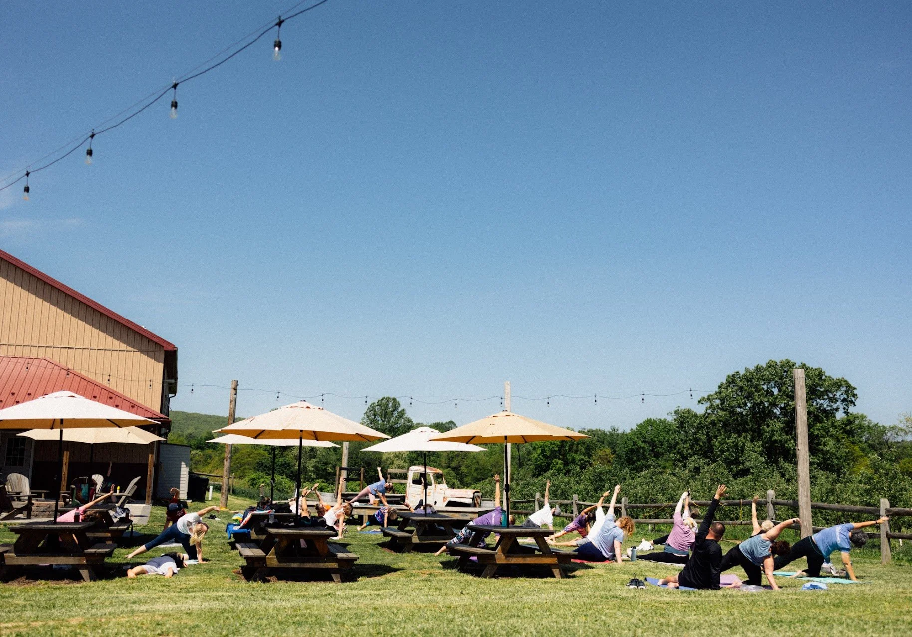 Yoga in the Orchard