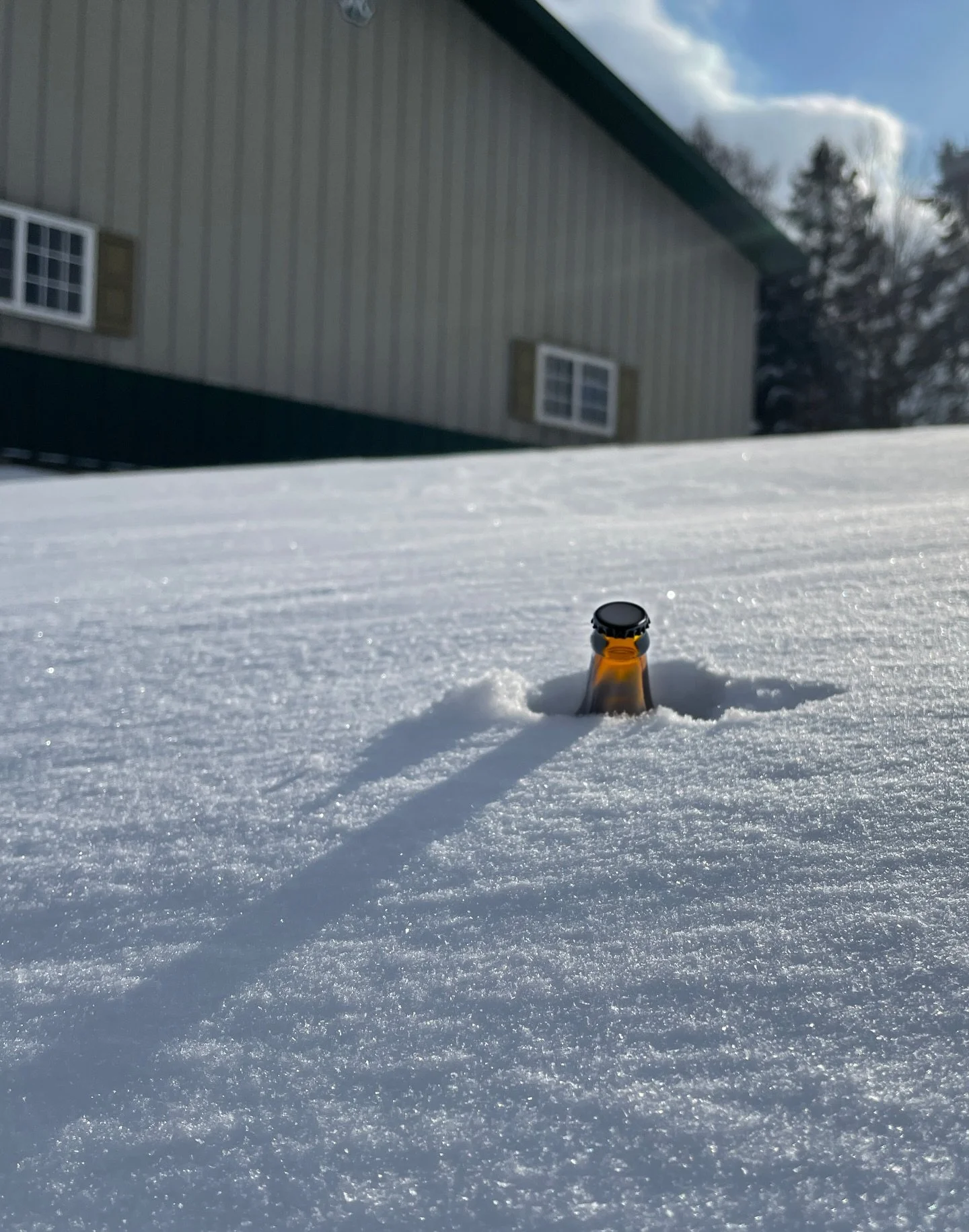 Breaking News: Area orchards report a 97.8% chance this weekend&rsquo;s snowfall will exceed one cider bottle.

More as this develops. ❄️📡