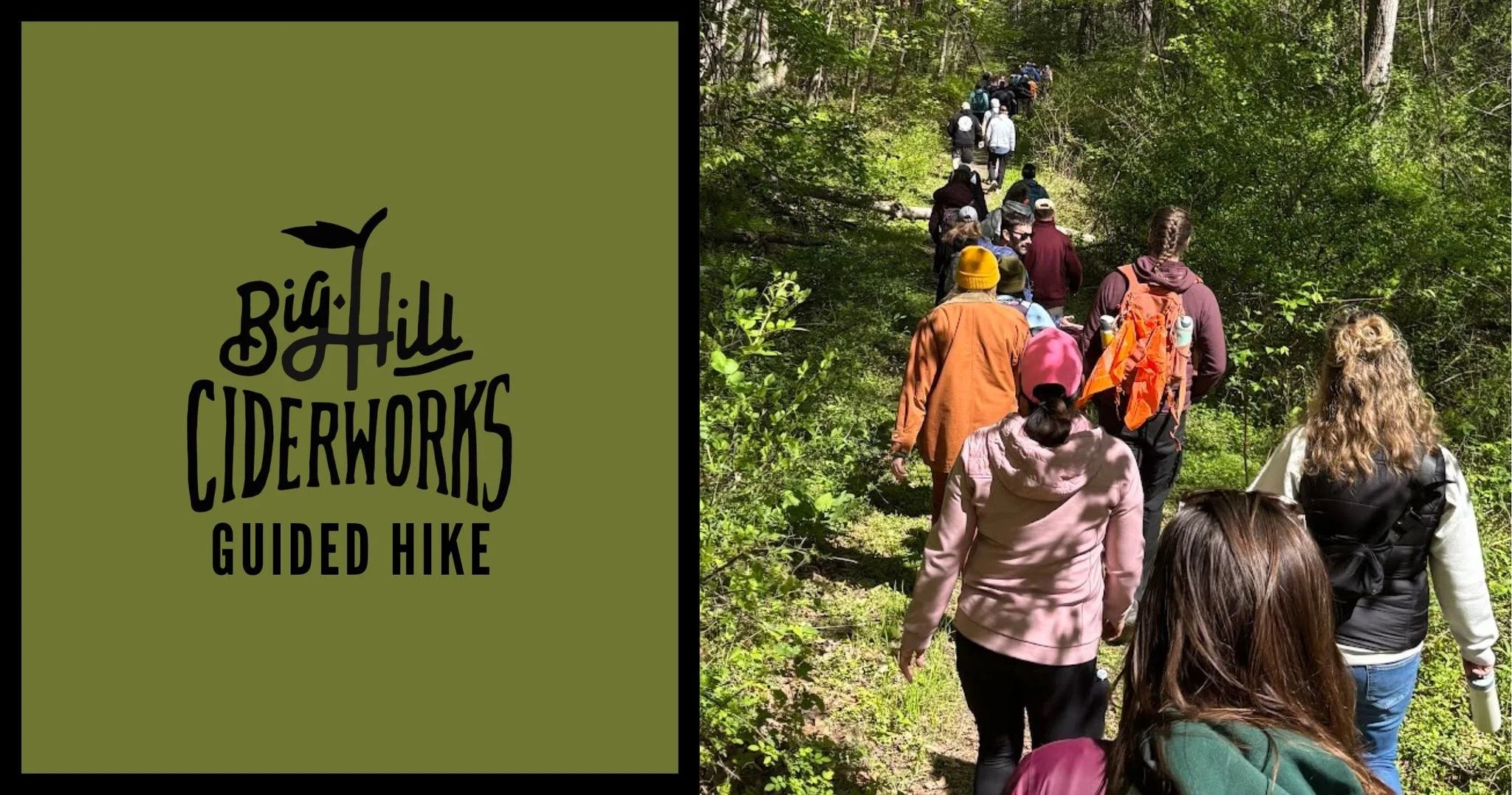 Guided Hike