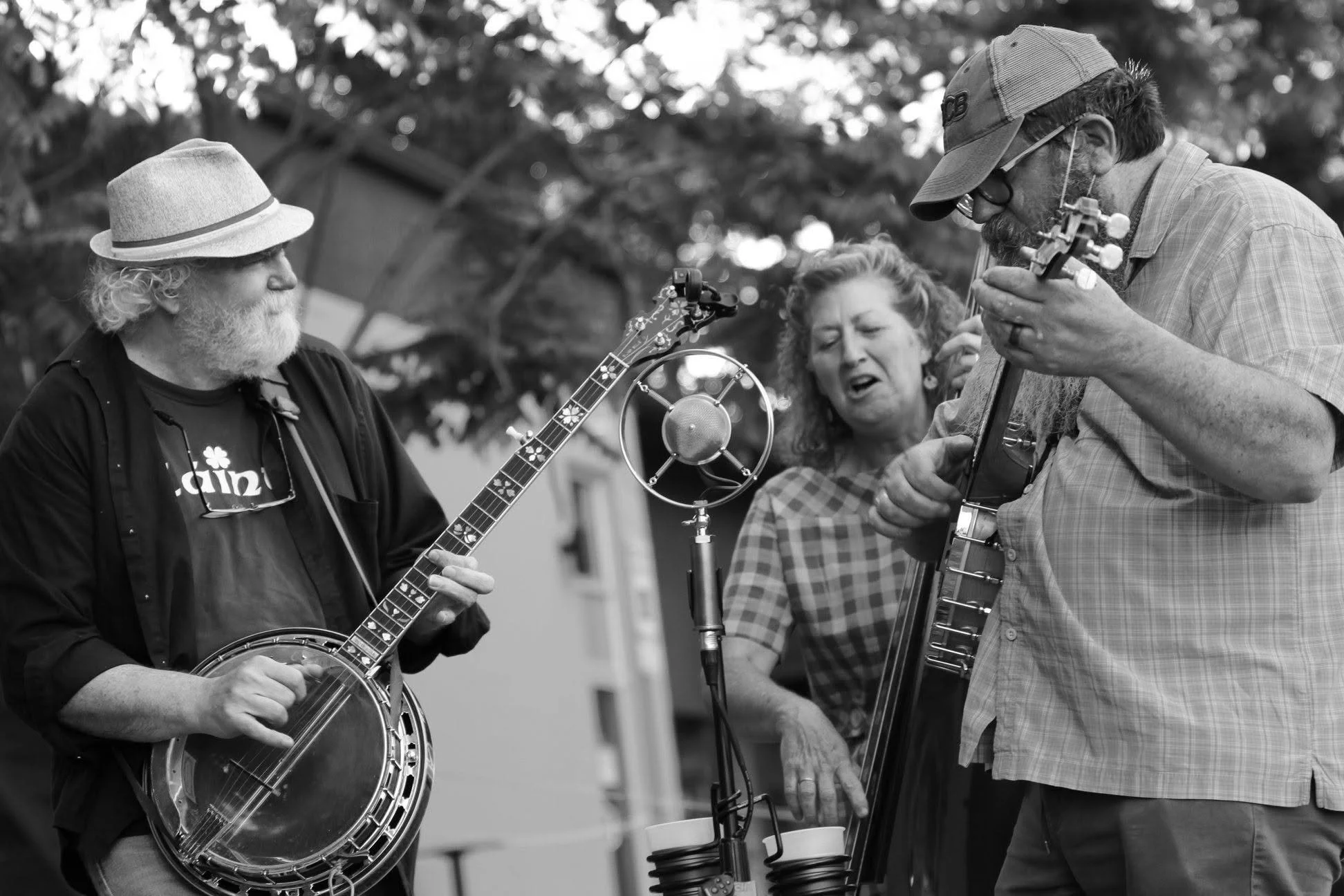 Dillweed Live Music