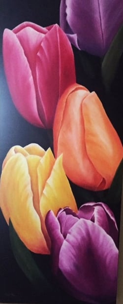 Popcicle colors 16 x 40