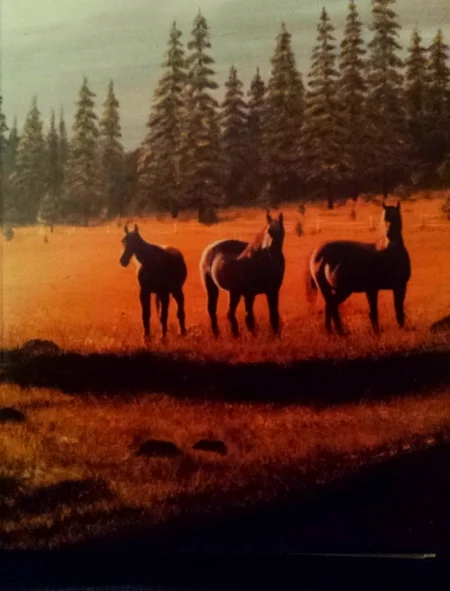 Three Studs 16 x 20 Sold