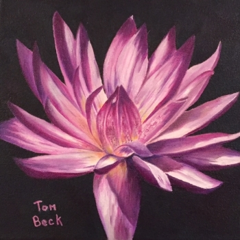 Purple Lilly 8 x 8