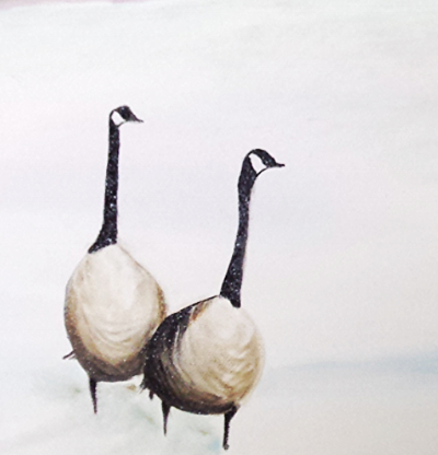 Winter Geese