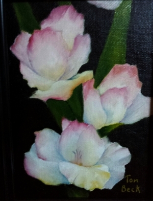 Tinted Magnolias 5 x 7