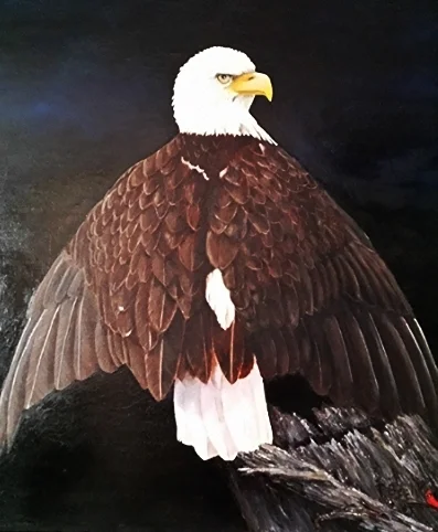Proud 24 x 30