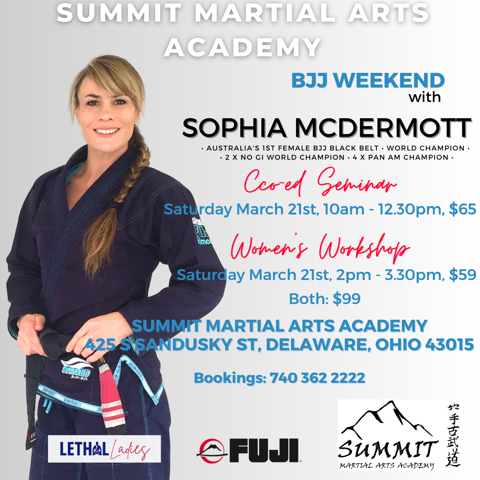 SUMMIT MARTIAL ARTS WORKSHOP, March 2026.png