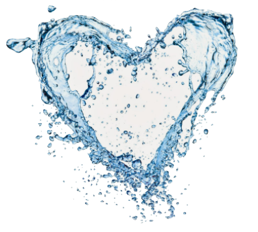 shutterstock83158471.jpg