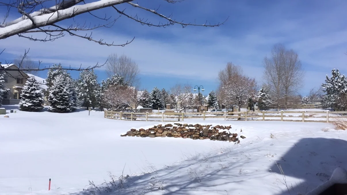 Colorado, Feb 2019-5.jpg