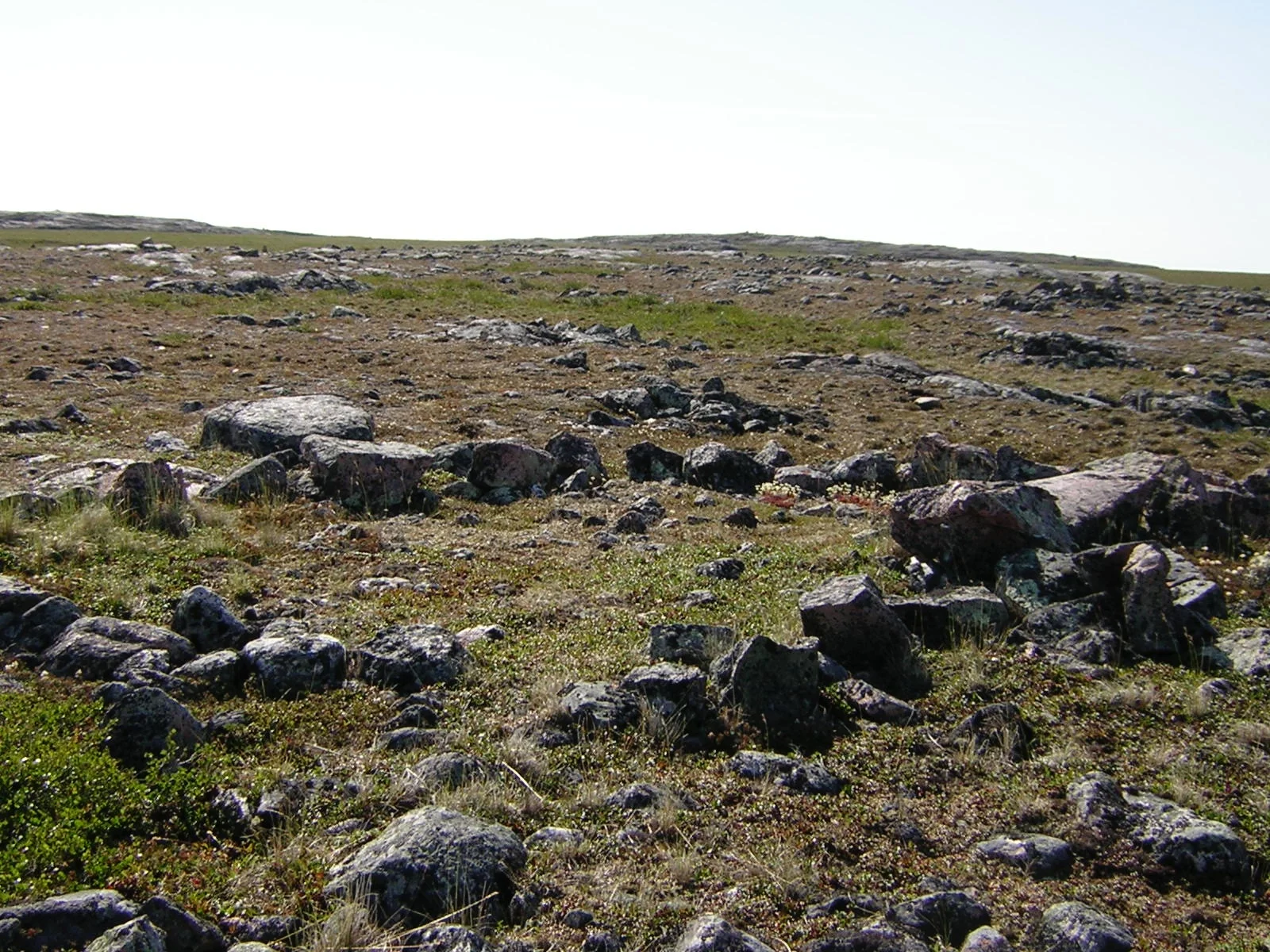 KazanRiver04 328.jpg