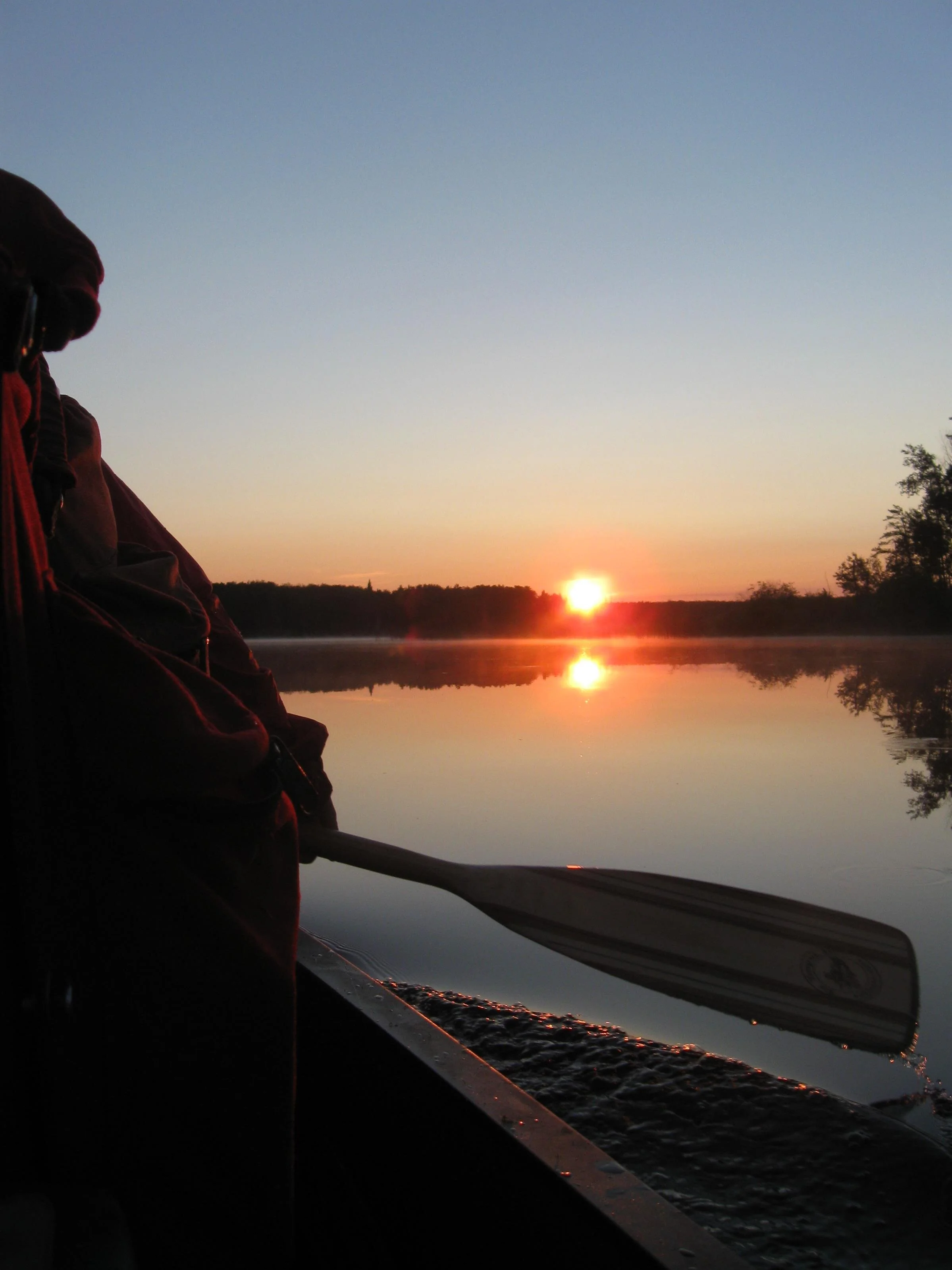 WFN.JPG