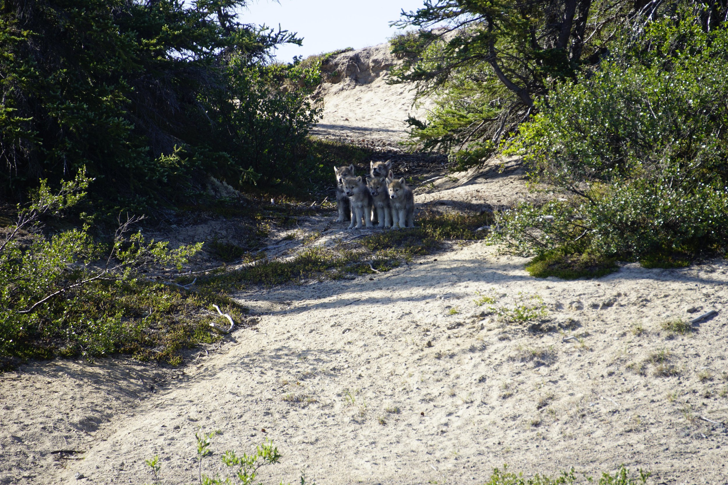 _DSC5184.JPG