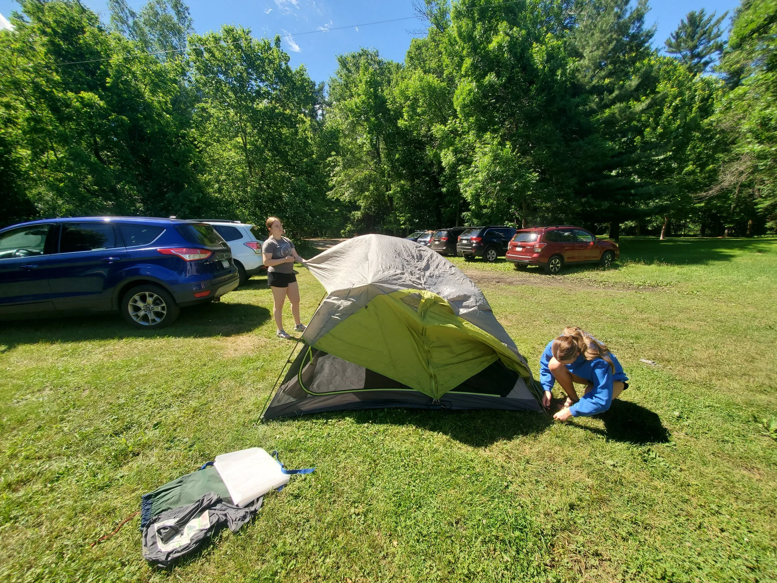 20260612_105353.jpg