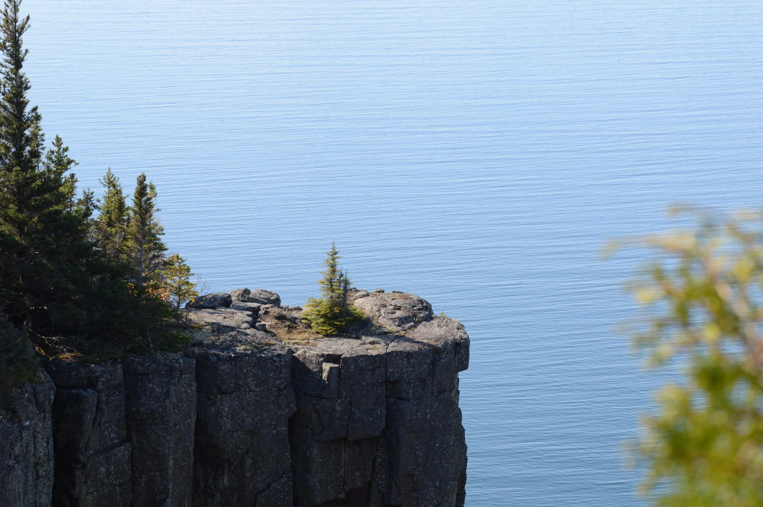 DSC_0620.JPG