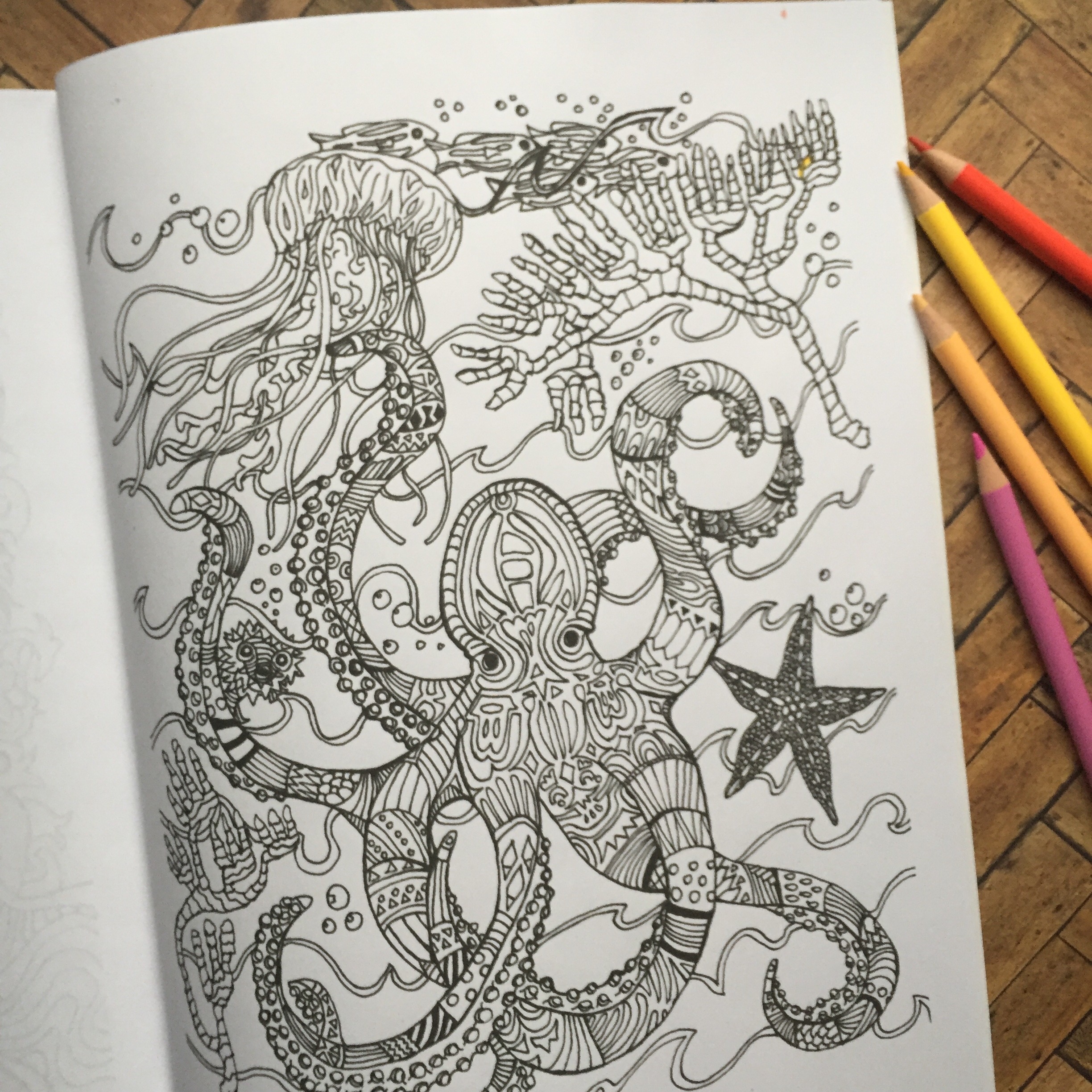 The Zentangle® : relaxing scrawls - Coloring Pages for Adults
