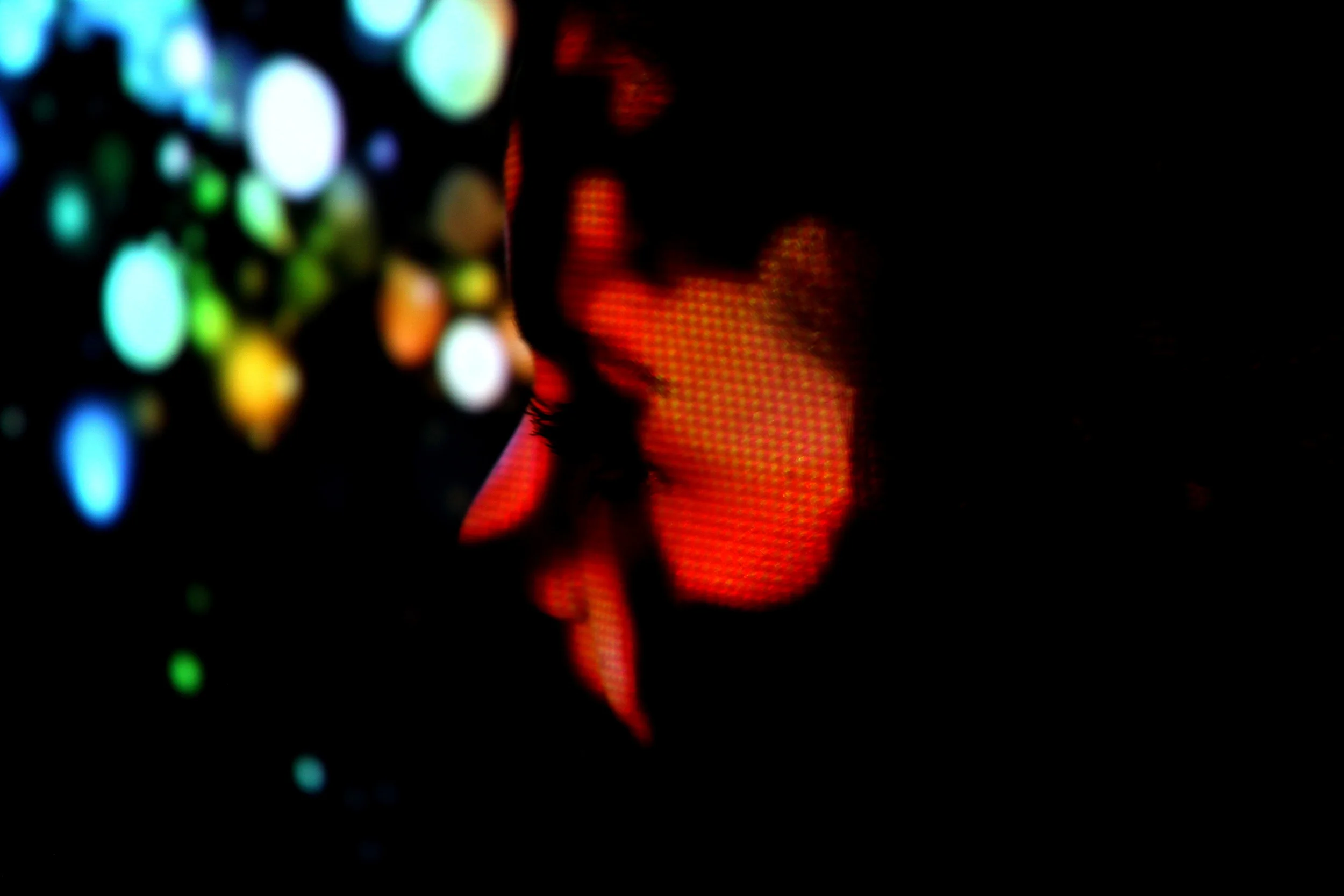 projection series #11