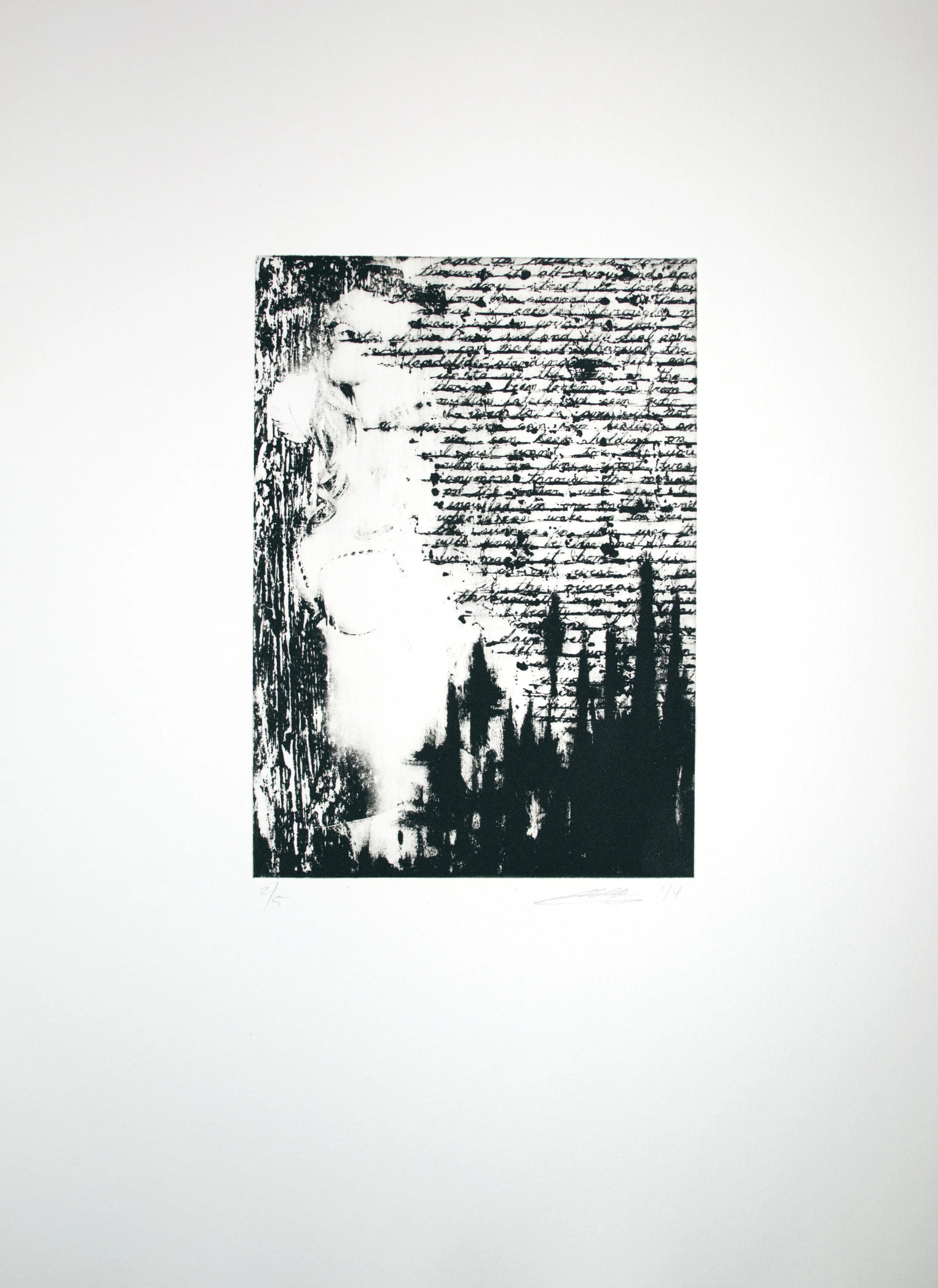  hand pulled lithography print on bfk rives 