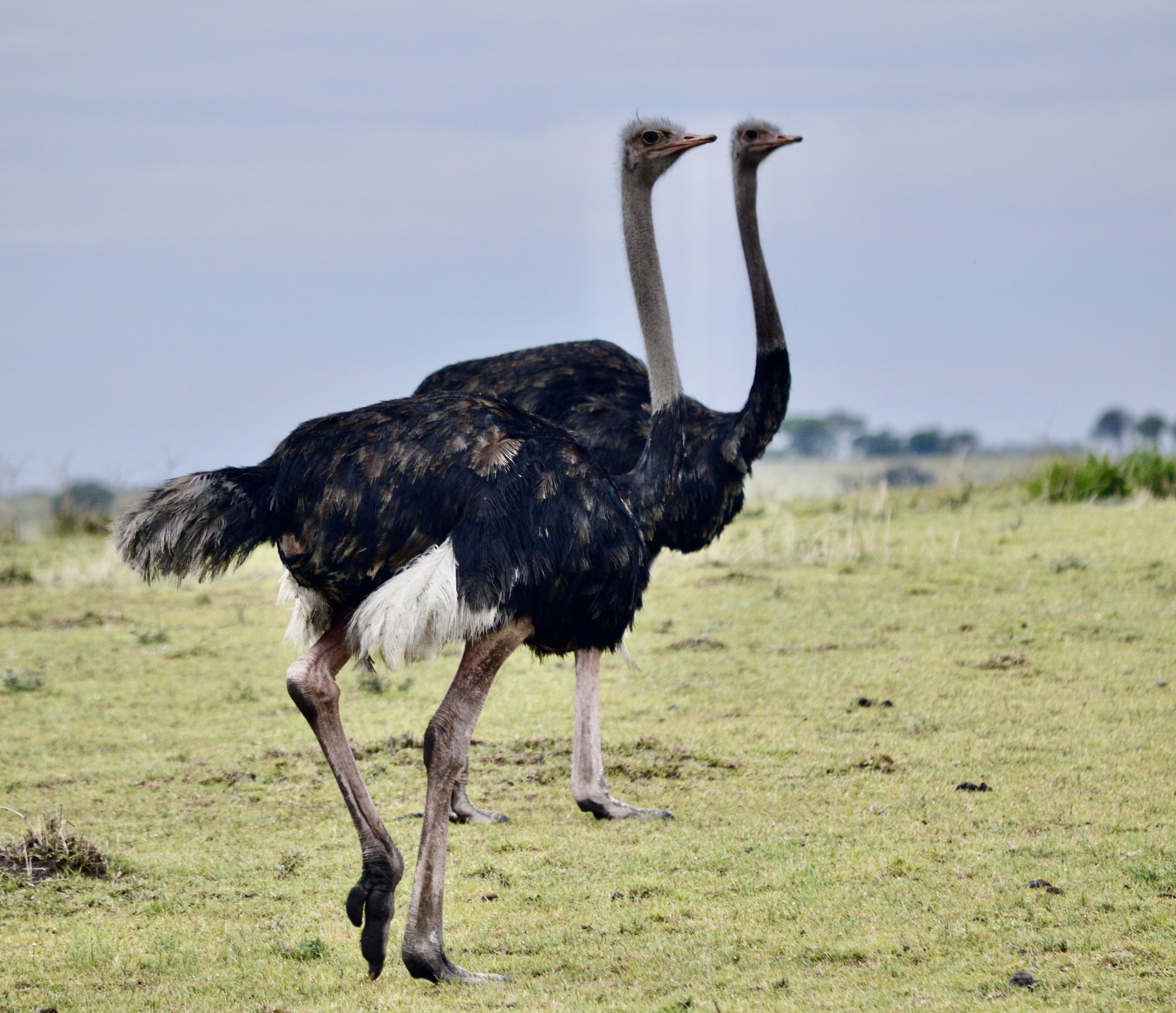 DSC_0166.JPG