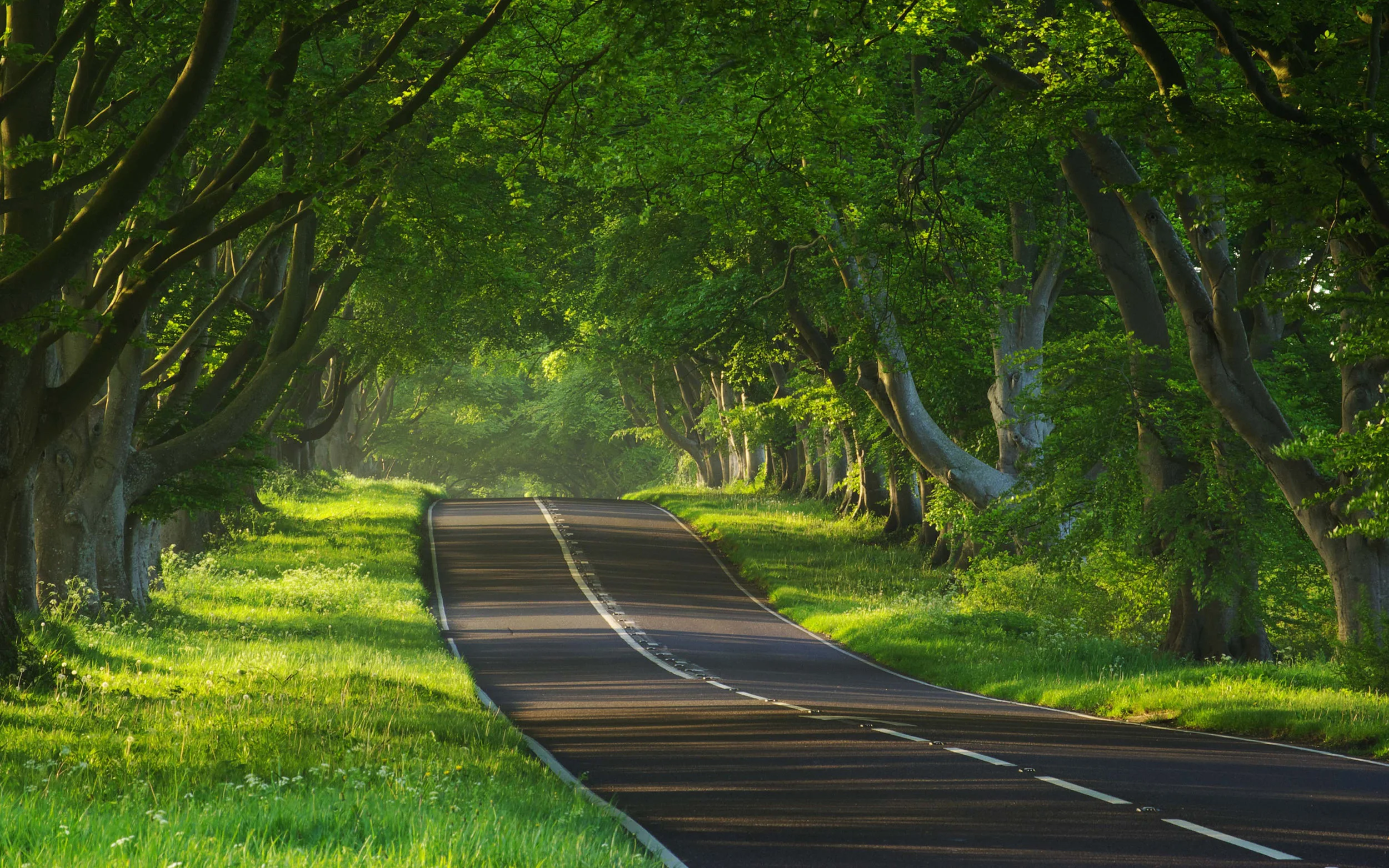 road.jpg