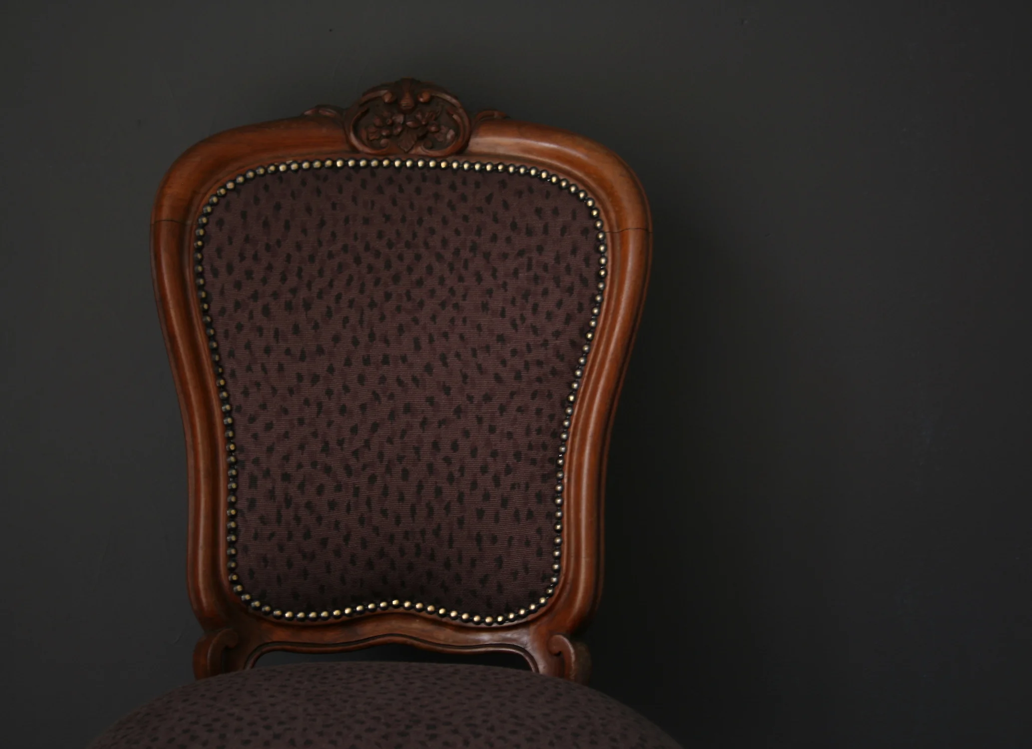 Cheetah aubergine home page RESIZED.jpeg
