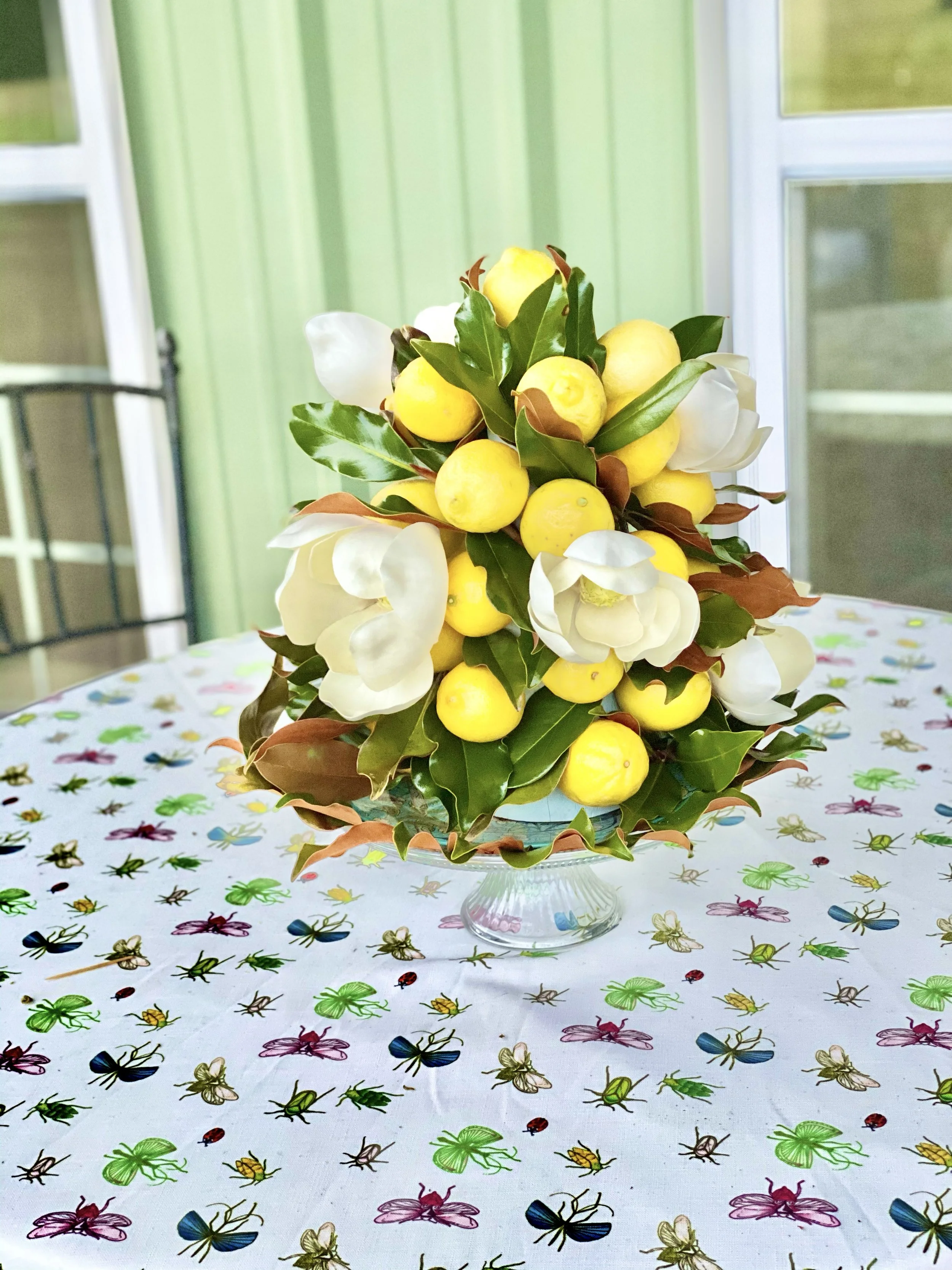 Lemon Magnolia Topiary.jpg