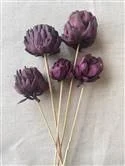 Artichoke Purple Stem.jpg