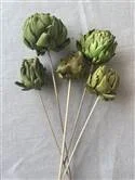 Artichoke Green Stem.jpg