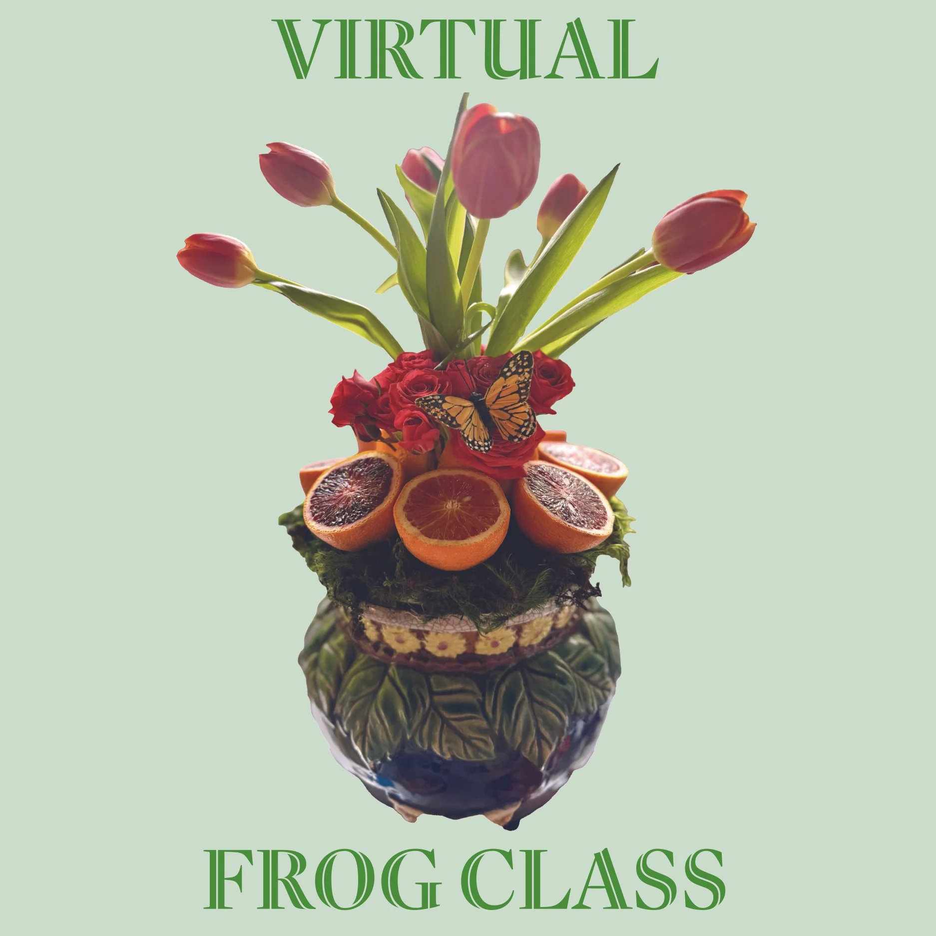 Virtual Frog Class_Website.jpg
