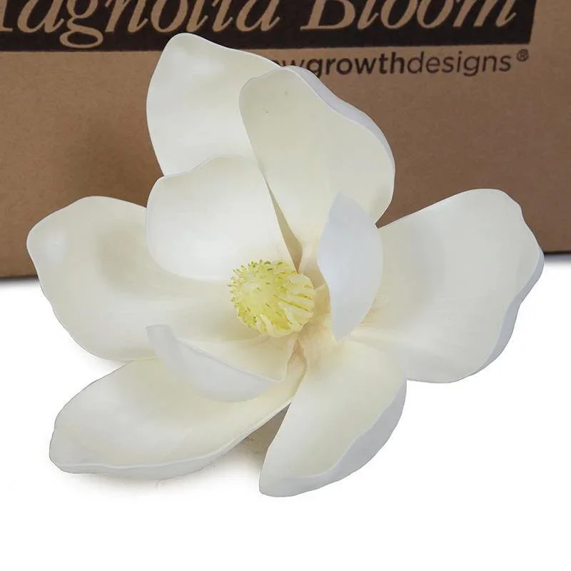 Magnolia Bloom.jpg