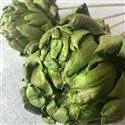 Artichoke Green.jpg