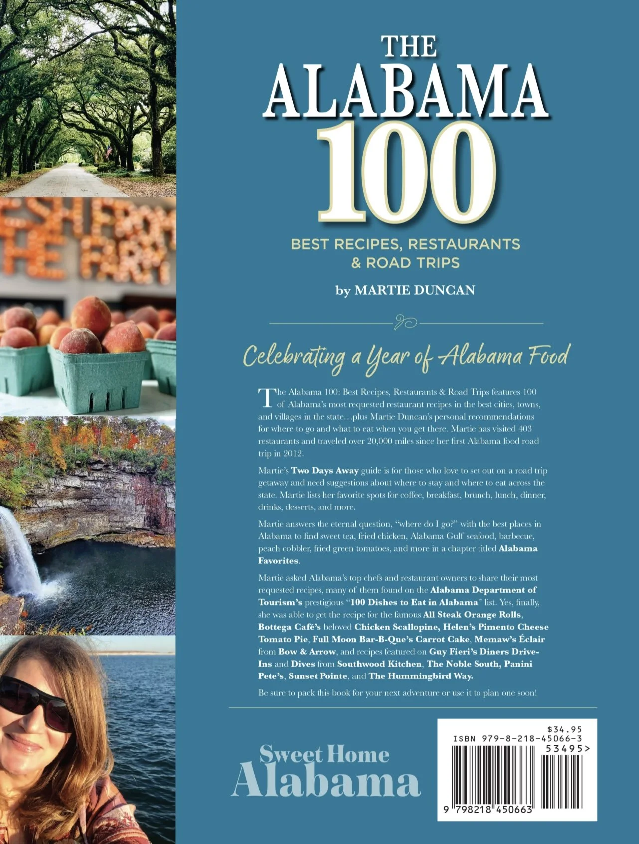 The AL 100 Back Cover .jpg