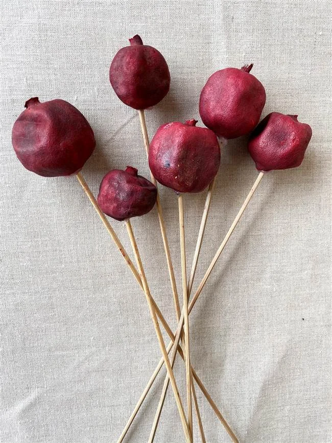 Pomegranate Stem.jpg