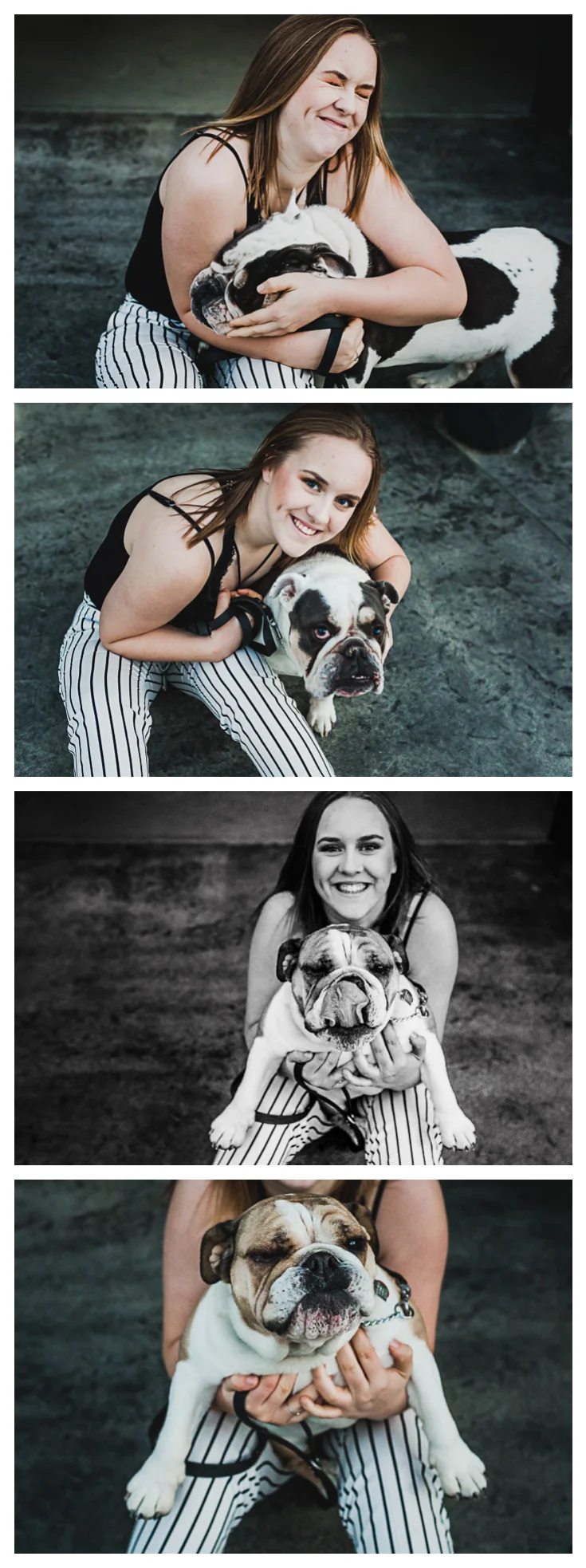 Teen girl portraits with her bulldogs after her portrait session.