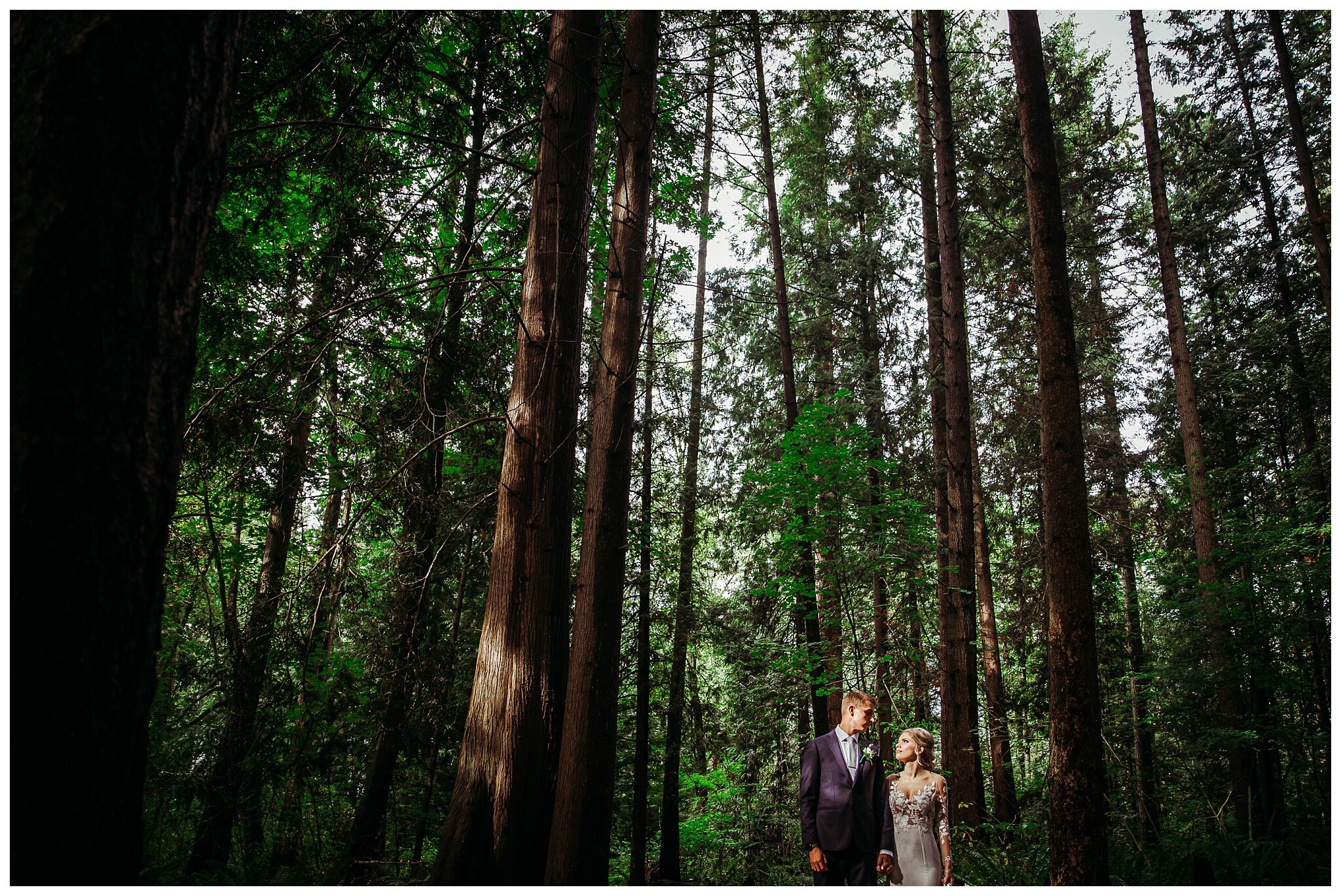 Redwood Forest Wedding Photographer Surrey BC  (33).jpg