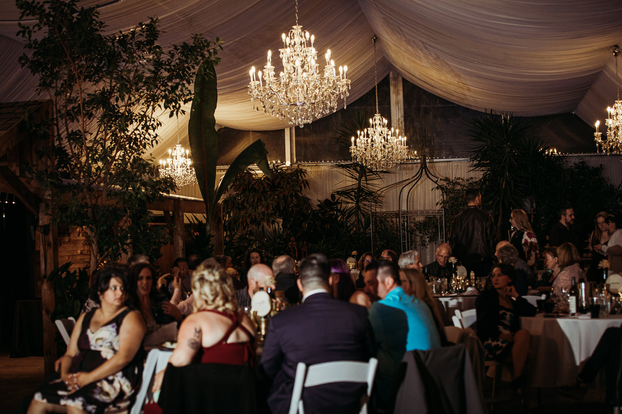 secret-garden-woodbridge-pond-wedding-reception