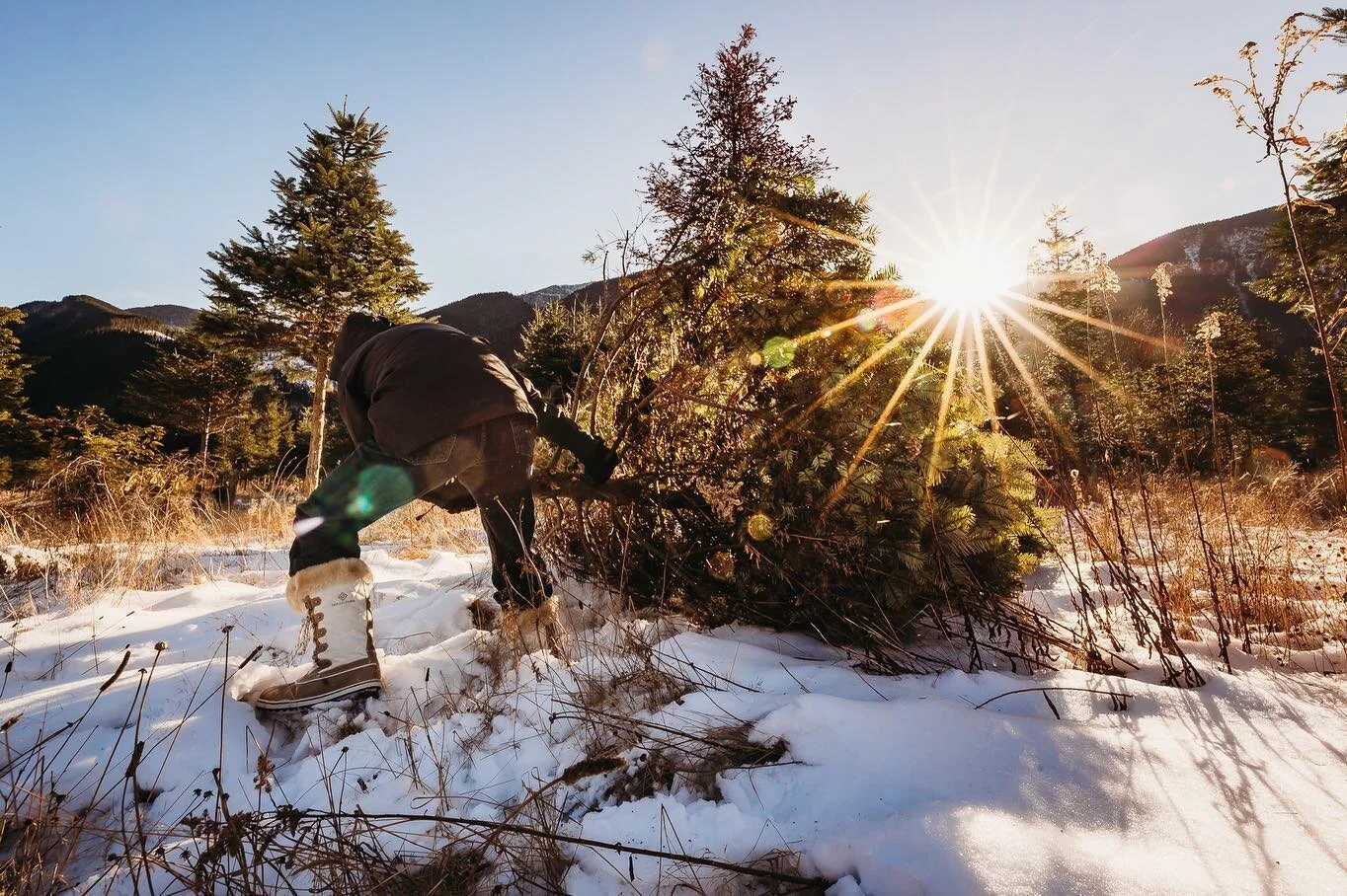 The Great Christmas Tree hunt of 2022. 
*
Things have been so insanely busy and letting go of the pressure of social media has been nothing short of amazing.  I&rsquo;m still here just trying to slow things down a bit.