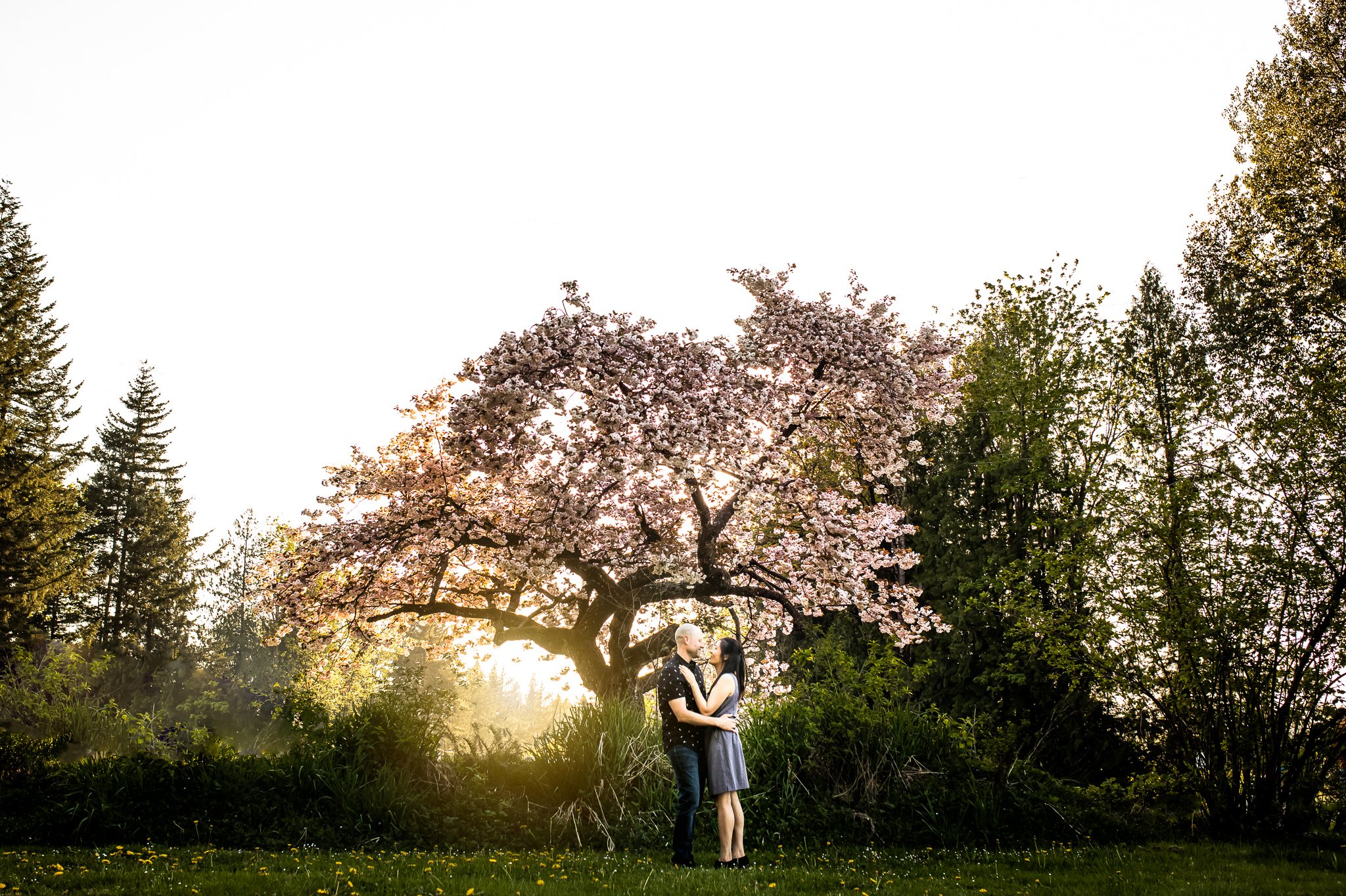 Chilliwack Engagement Photographer