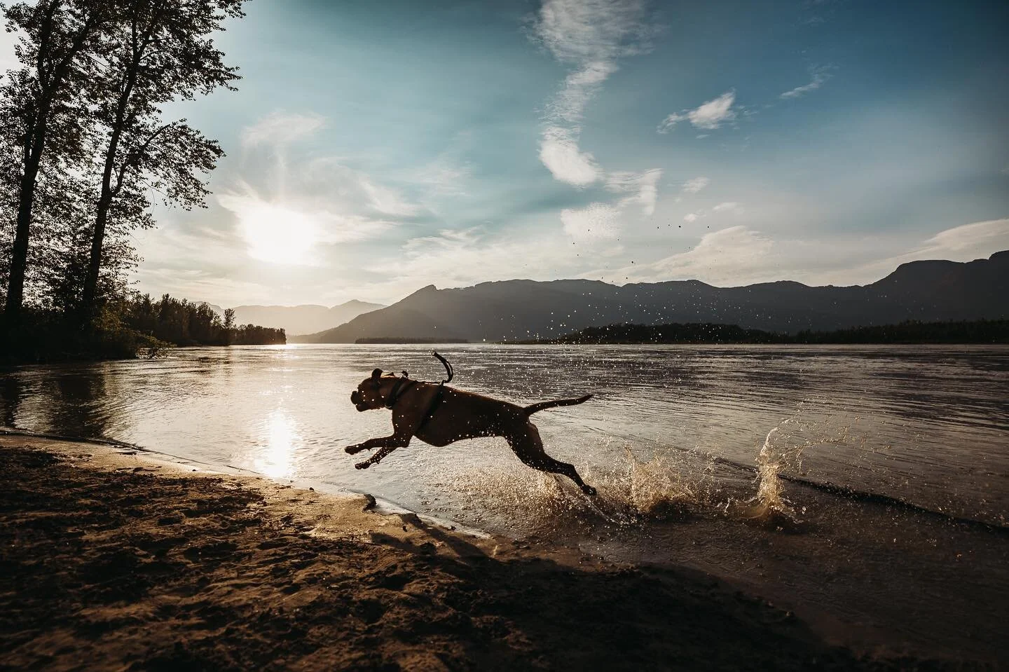 It&rsquo;s been awhile Insta and not gonna lie, it&rsquo;s been the most freeing thing ever.  Meanwhile, this crazy pup is almost a year and a half and this is our happy place.