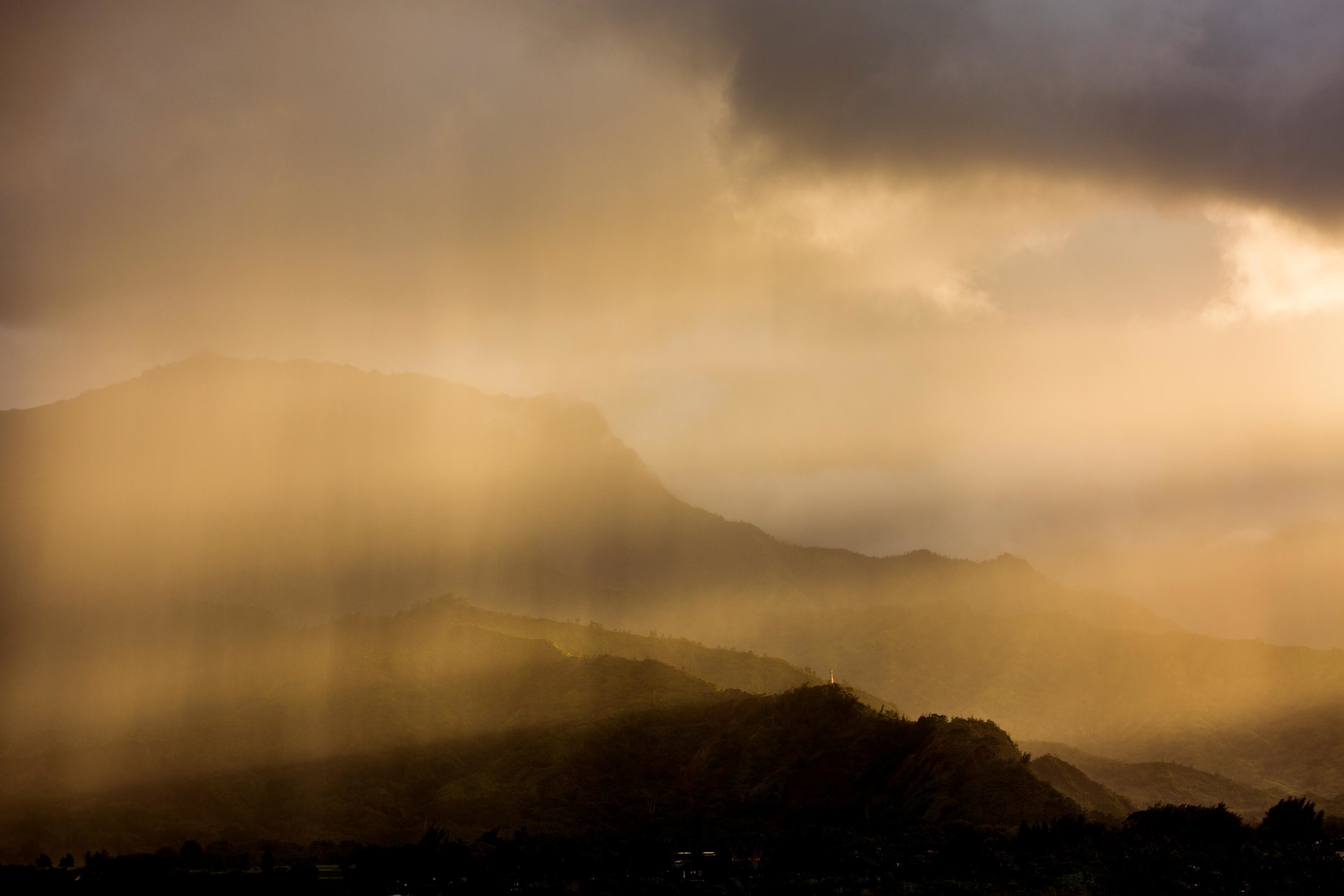 naturephotographeraustaliadunstanalicia.jpg