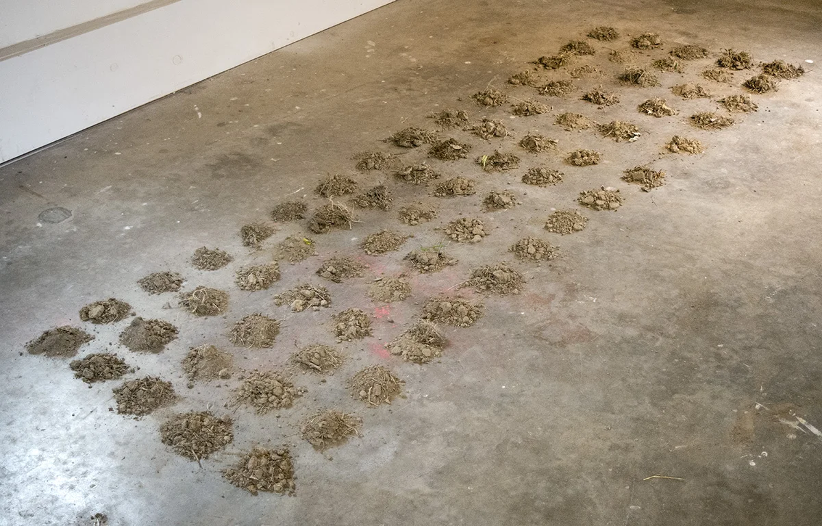 Dirt Pile Grave