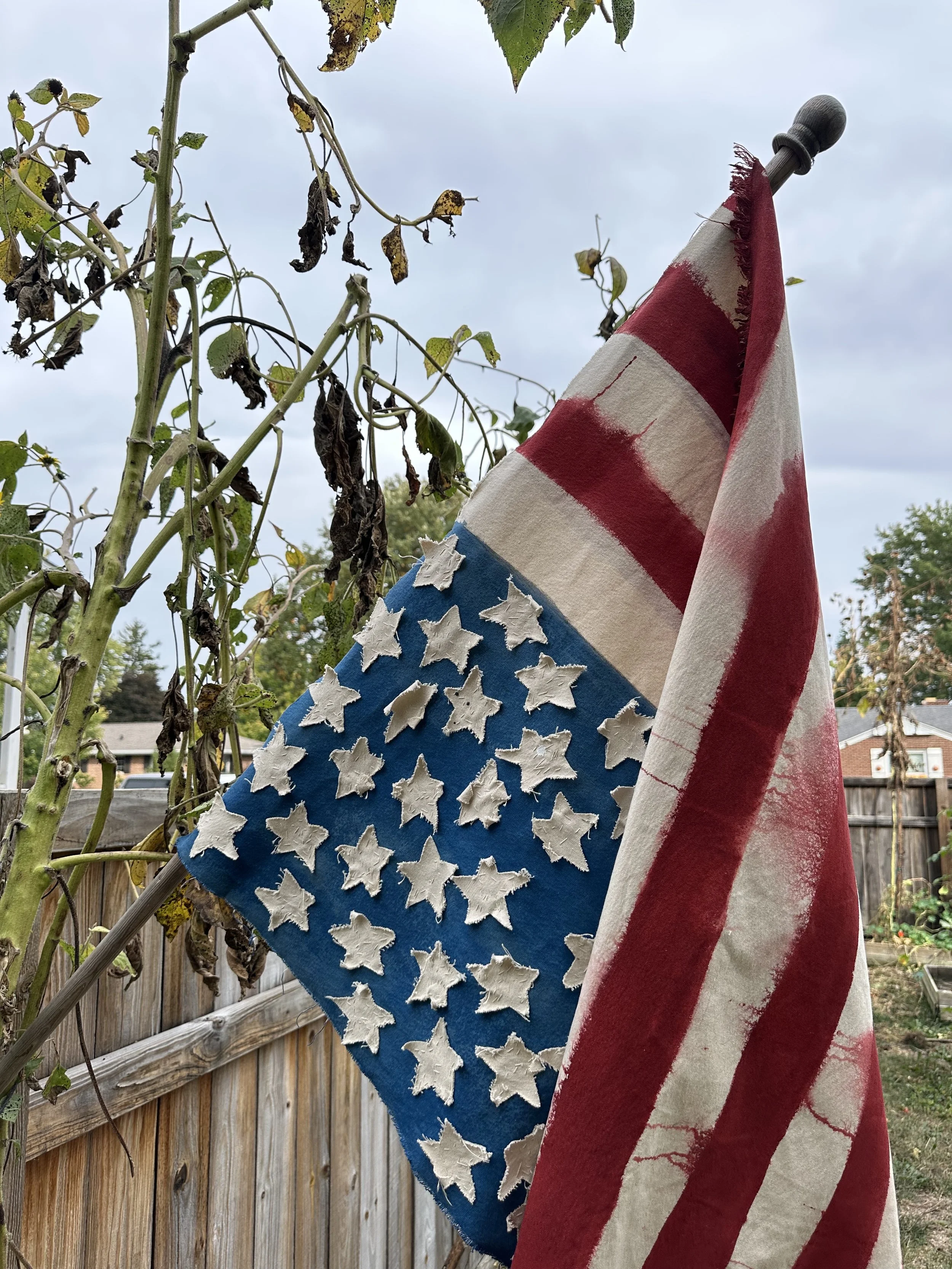 Indivisible (detail)