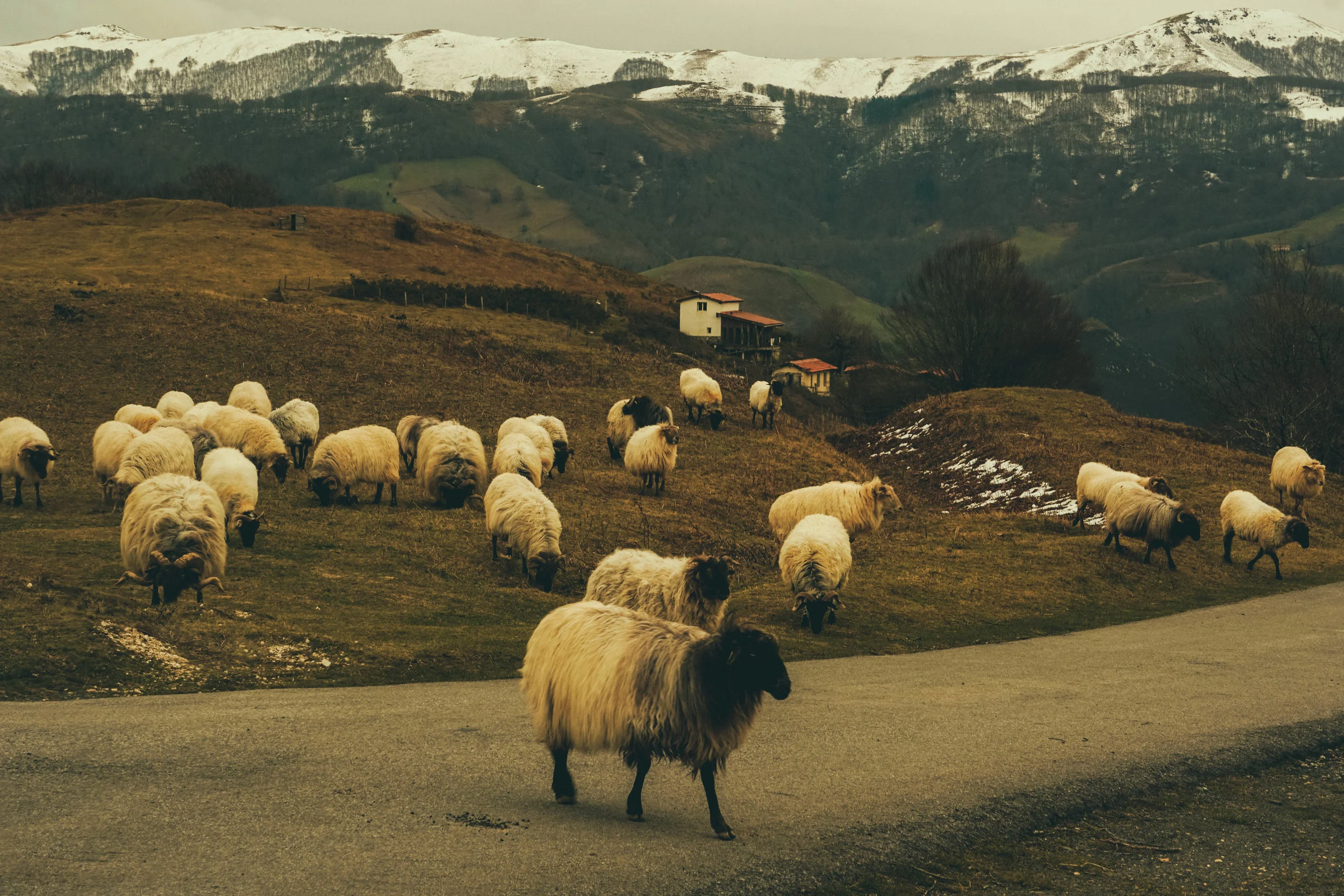 Basque Country traffic jam! 