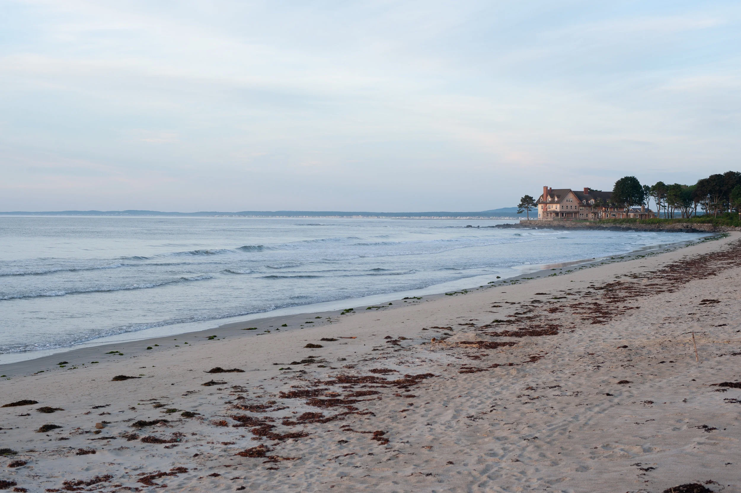 DSC_8242.jpg