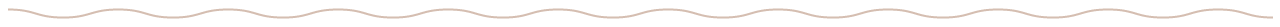 wavy-line.png