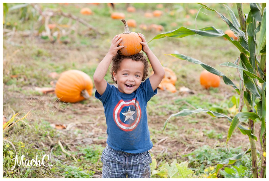 Look Ma! A pumpkin! 