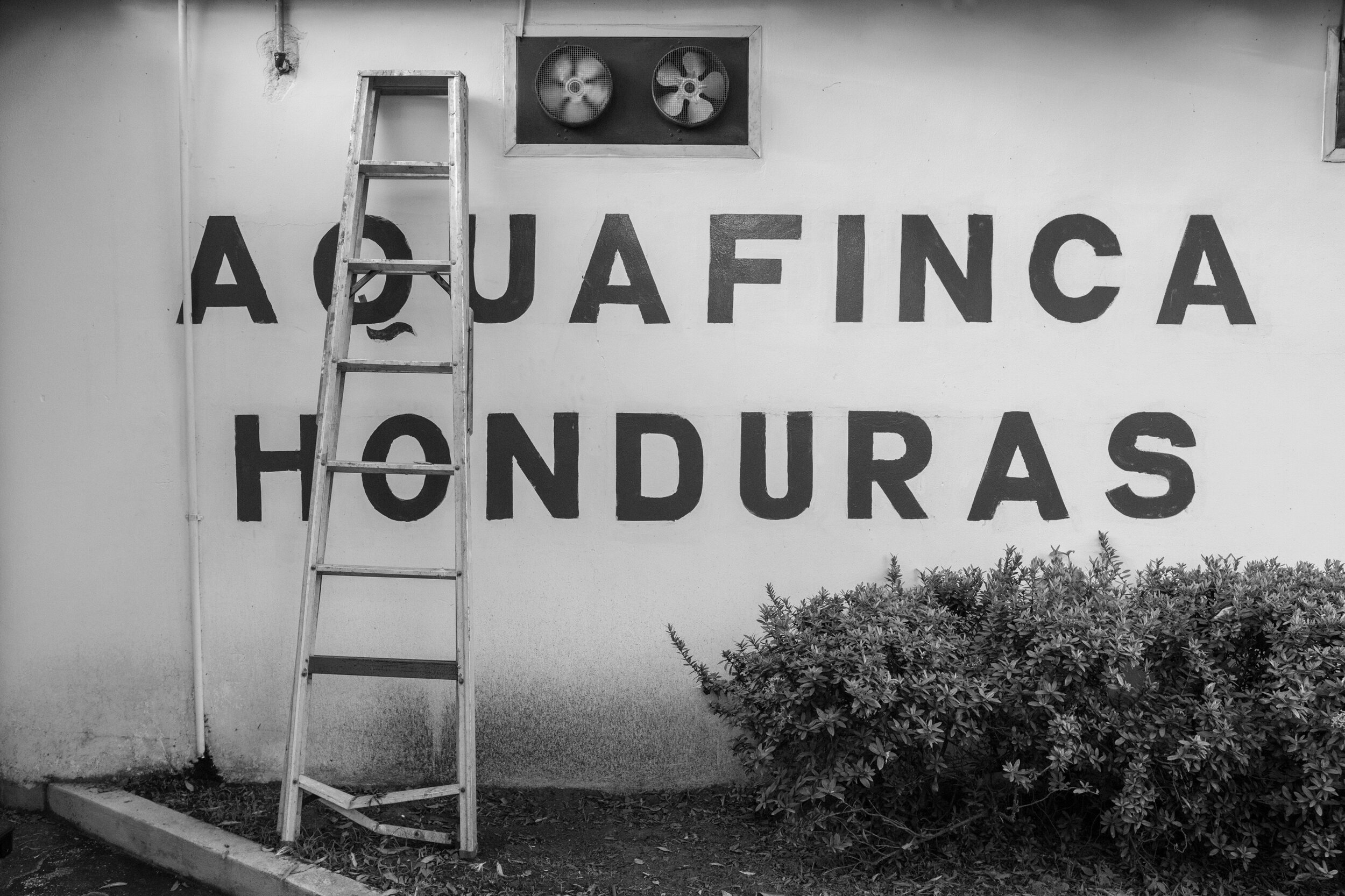 honduras_021518_0220.jpg