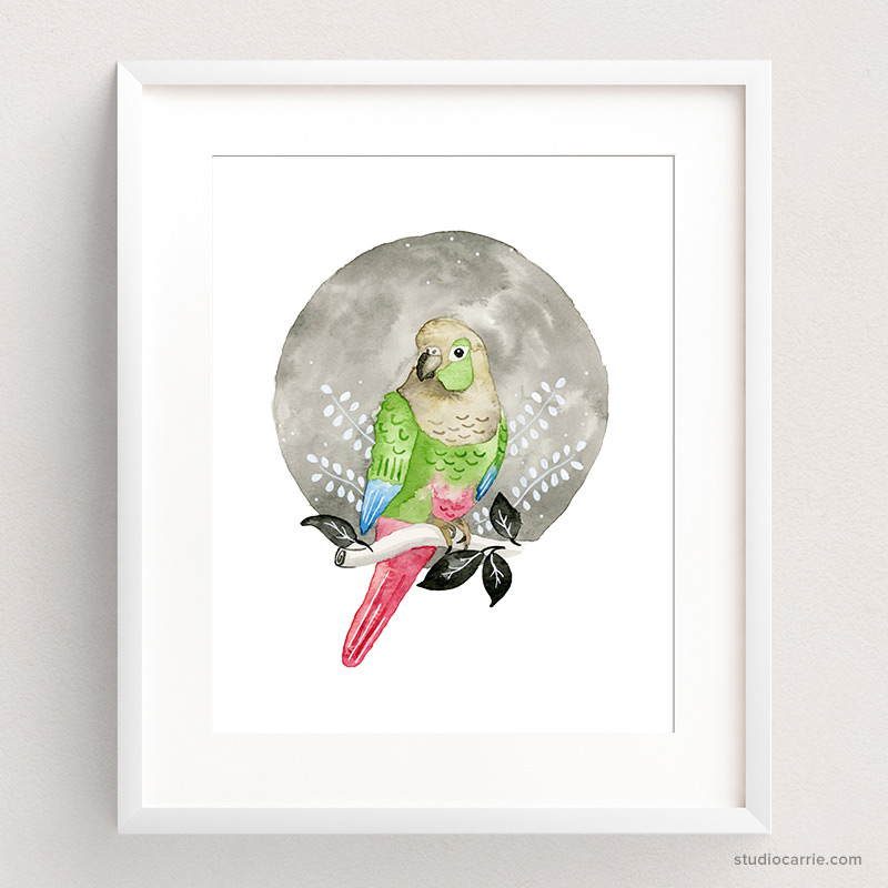 Copy of Green Cheeks Conure Watercolor Art Print by Studio Carrie