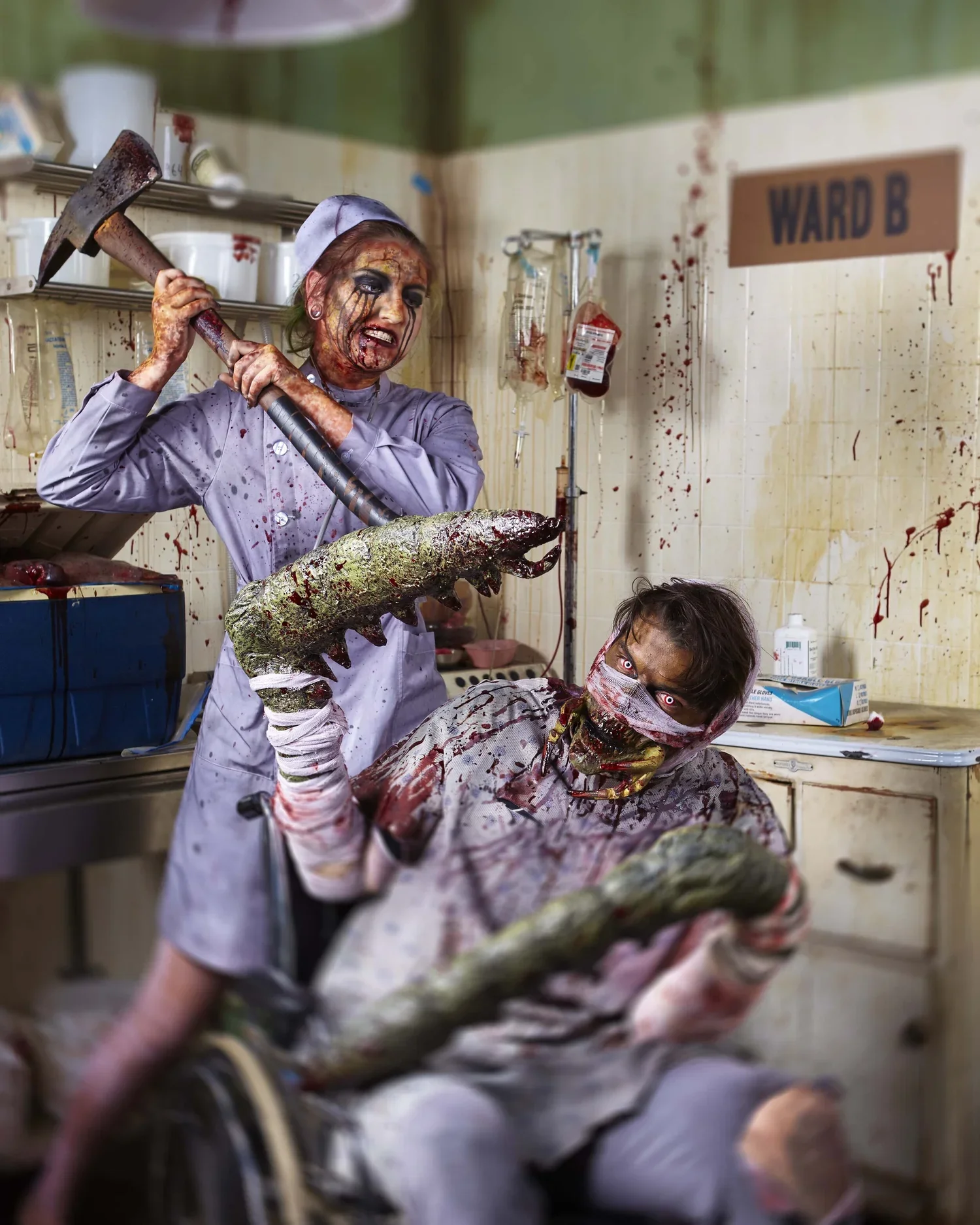 The Mantis &amp; The Nurse- 2017