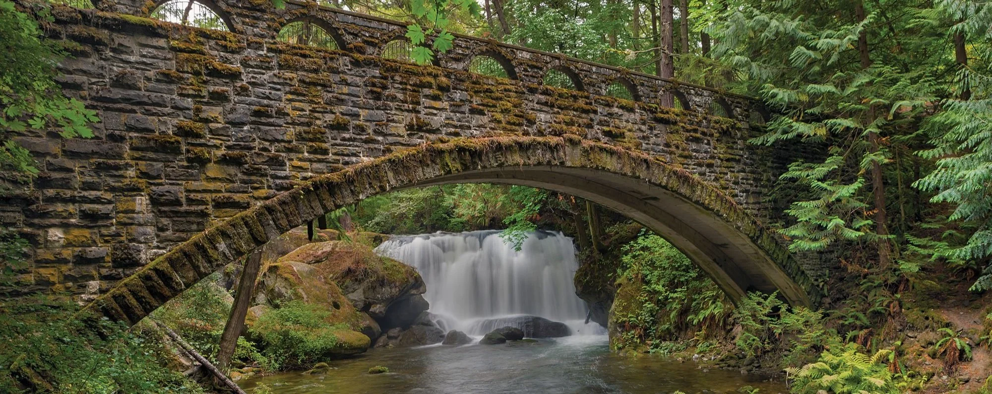 BRIDGE.jpg