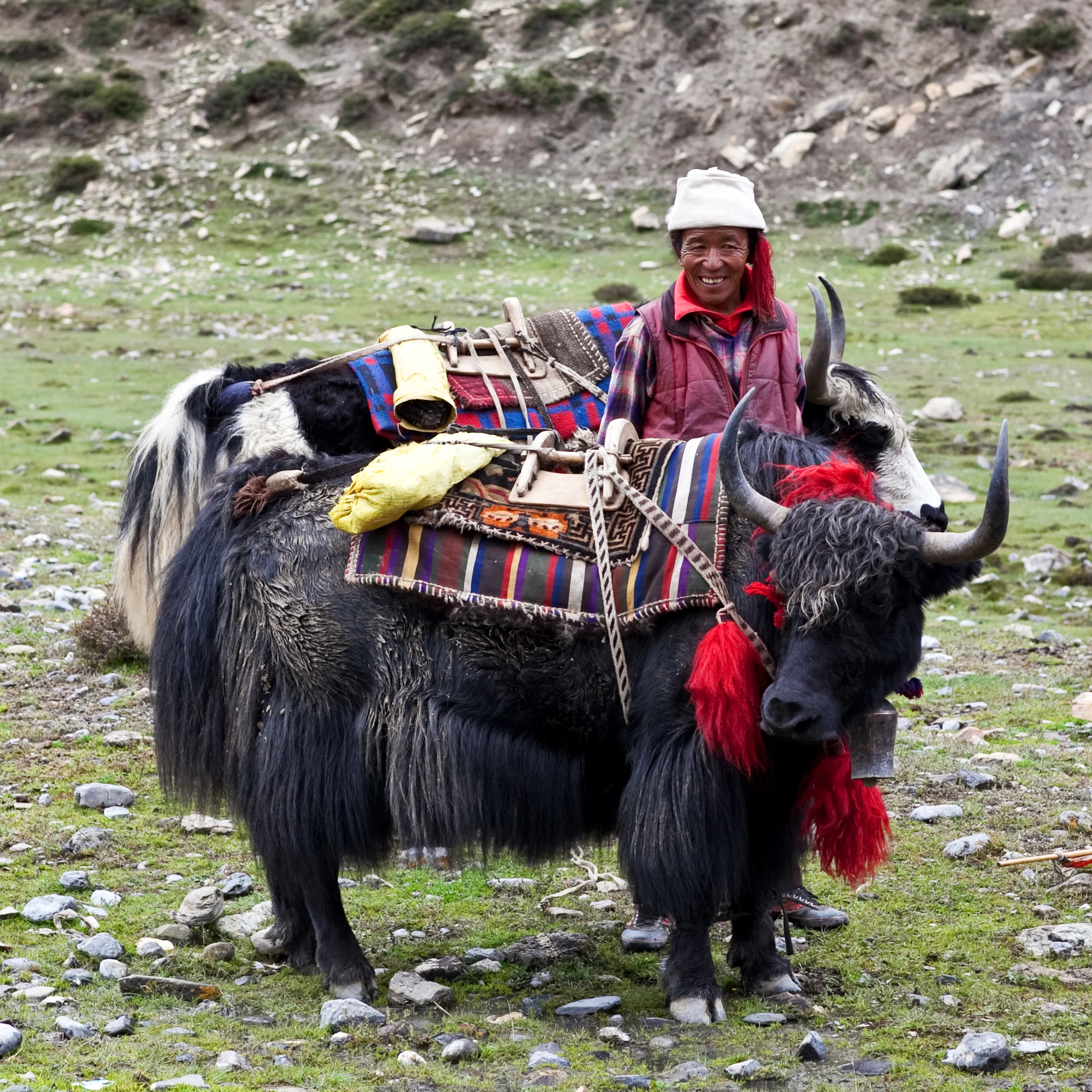 Dolpo district, Nepal